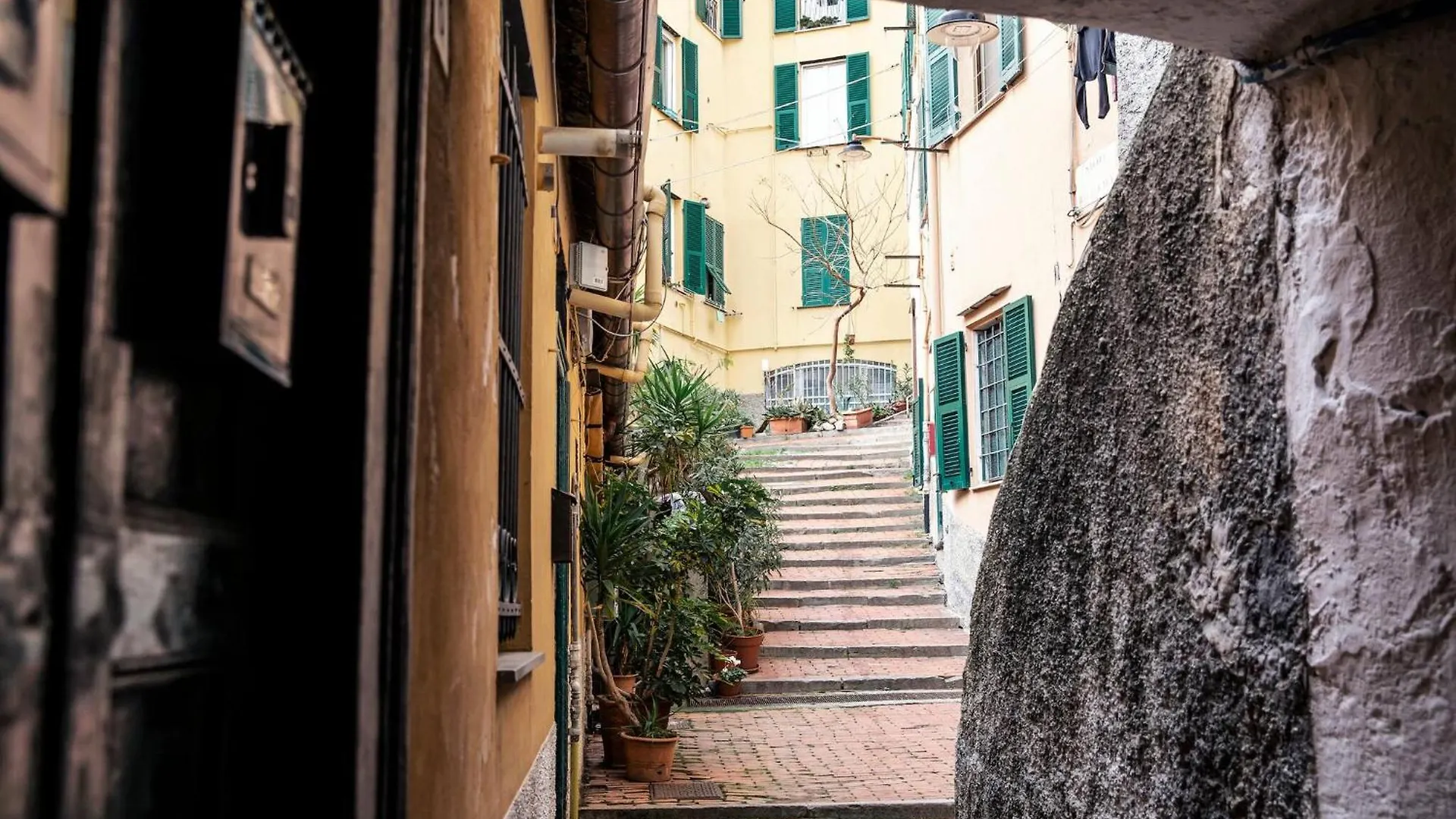 Patty S Home Genoa 0*,