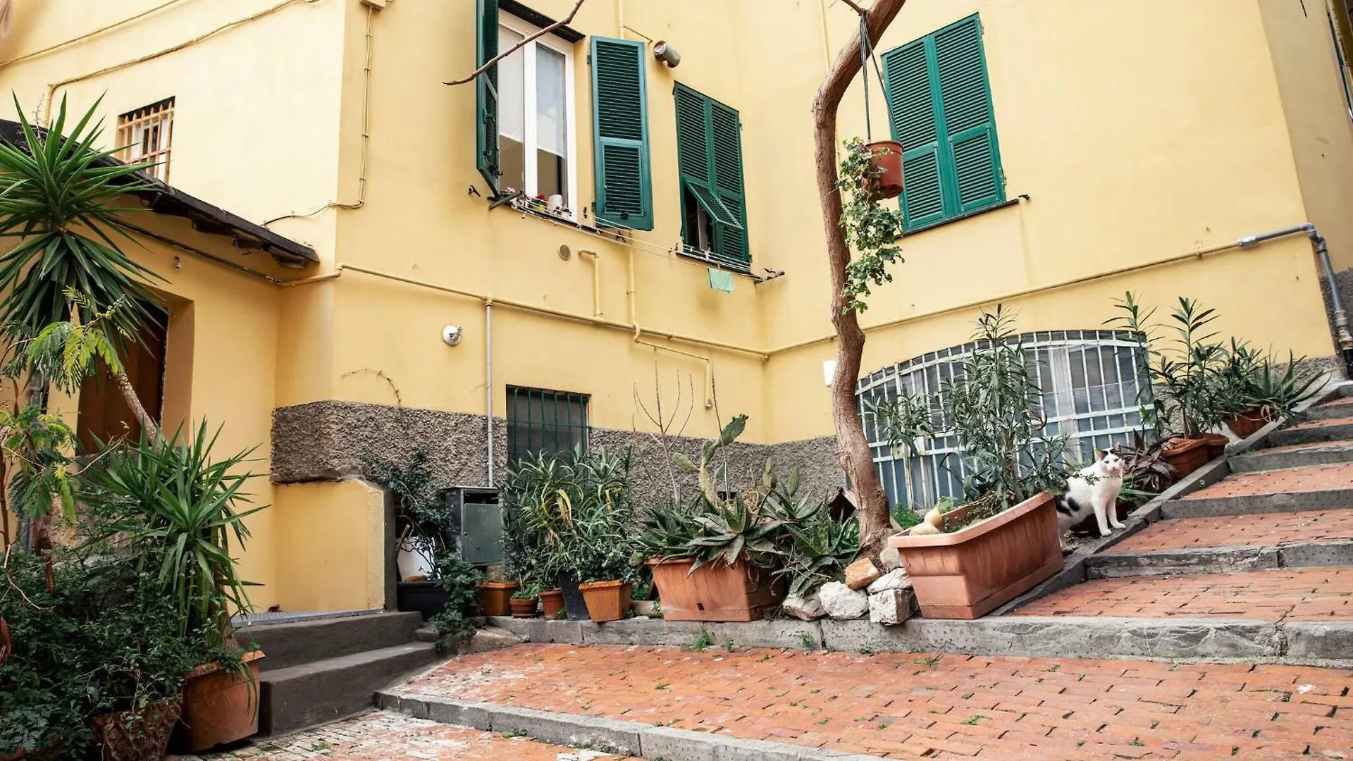 Patty S Home Genoa